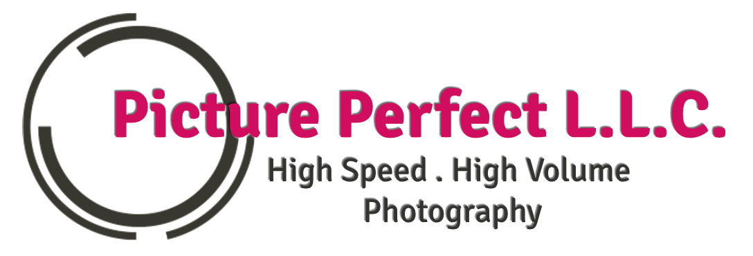 Picture Perfect L.L.C.
